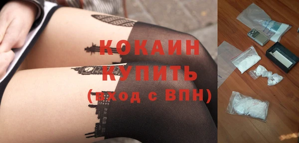 PSILOCYBIN Горнозаводск
