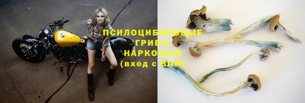 MESCALINE Горняк