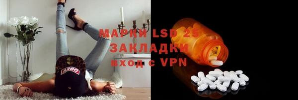 PSILOCYBIN Горнозаводск