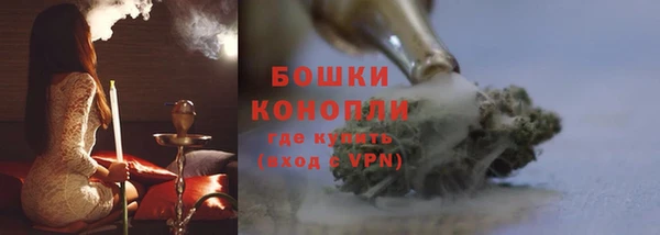 PSILOCYBIN Горнозаводск