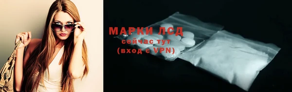 PSILOCYBIN Горнозаводск