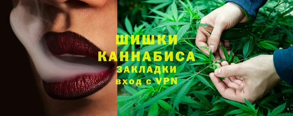 молекула духа Горно-Алтайск