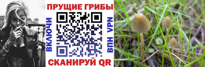сколько стоит  Демидов  Галлюциногенные грибы мухоморы 