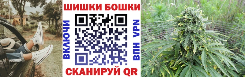 Бошки Шишки OG Kush  как найти закладки  Демидов 